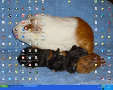 2011-08-18_134649.webp