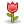 rose.webp
