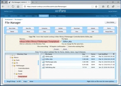 filemanager2.webp