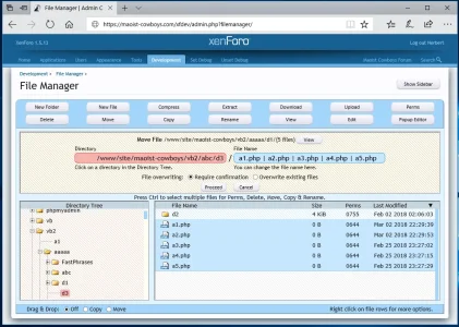 filemanager3.webp