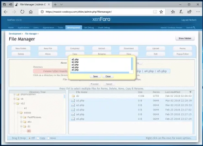 filemanager4.webp
