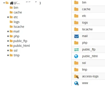oie_RGJtR9U1Grcv.webp