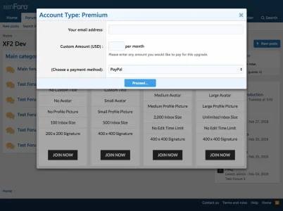 custom-amount.webp