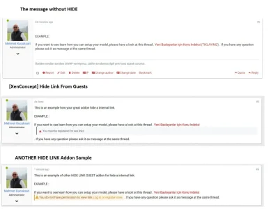 Hide Link.webp
