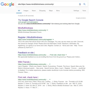 google-serp.webp
