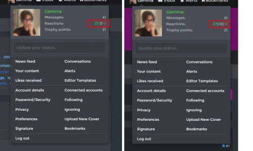 account menu.webp