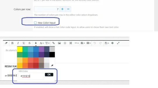 Editor_01_Hex Input Prb.webp