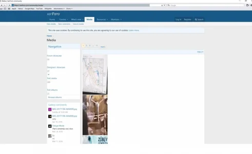 xenforo safari.webp
