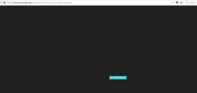 rankimage4.jpg.webp