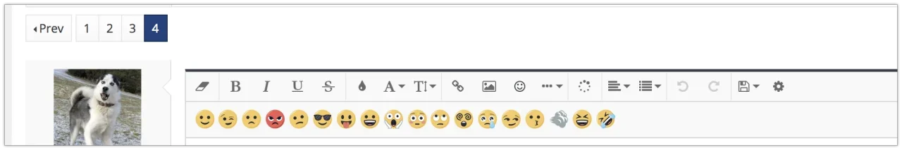 smiley 100%.webp