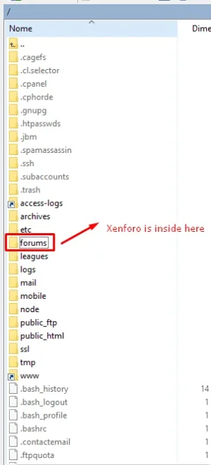 index.webp