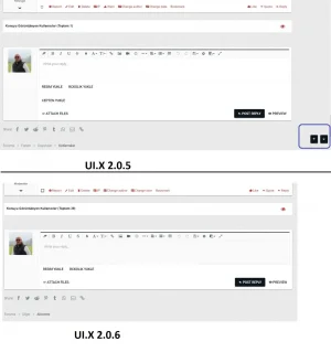 1_Arrow Missing_Desktop Bug.webp