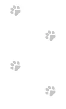 bkgd.webp