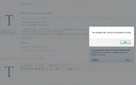 metacafe_embed.webp metacafe_embed.webp