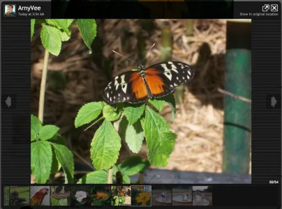 Screen Shot 2011-09-15 at 9.58.44 PM.webp