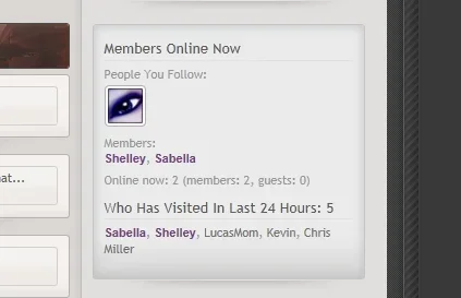 whosbeen_online.webp