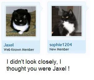 jaxel.sophie1205.webp