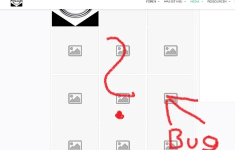 bild-bug.webp