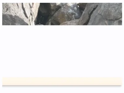 partial-image-load.webp