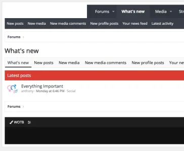 Screen Shot 2018-07-29 at 3.28.15 pm.webp