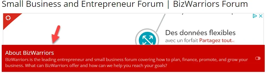 BizWarriors Top AdSense bottom spacing.webp