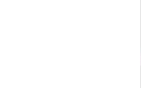 Forum-Styles_02.webp