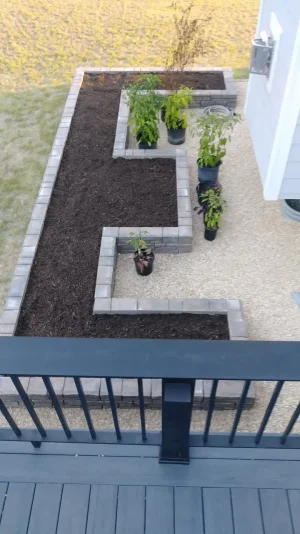 raised-beds-2.webp
