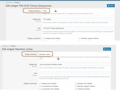WP Widget_3.webp