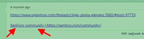 3.webp