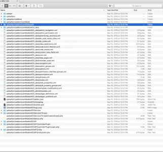 xenMade-AED-1.0.0 2018-09-20 15-15-05.webp