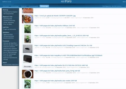 screenshot1.webp