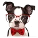 75.webp