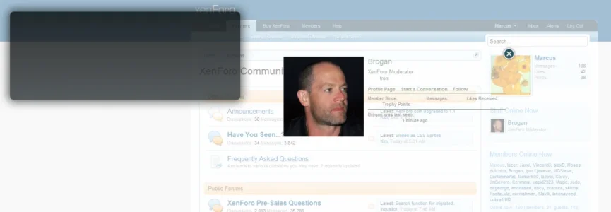 screenshot.webp