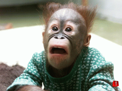 Slide1.GIF