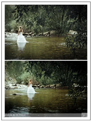 2.webp