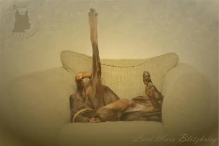 Lord Mars.webp