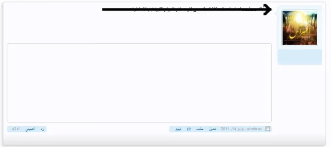 11.webp