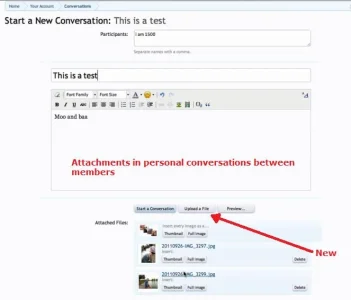attachment.webp