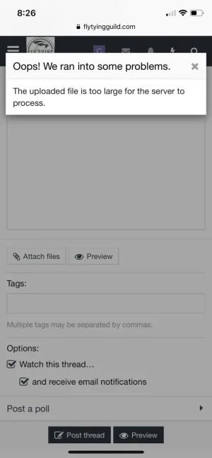 C5B30901-4FFD-4A26-88DC-4D56283B7D1C.webp
