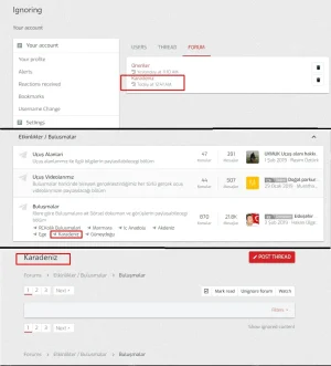 2_Sub Forum.webp