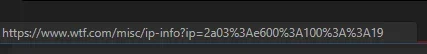 ipv6_bug_report2.webp