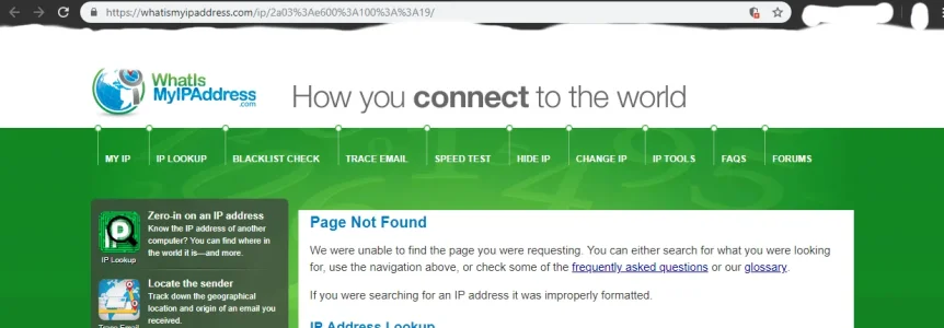 ipv6_bug_report3.webp