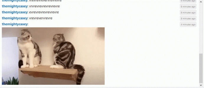 image.gif