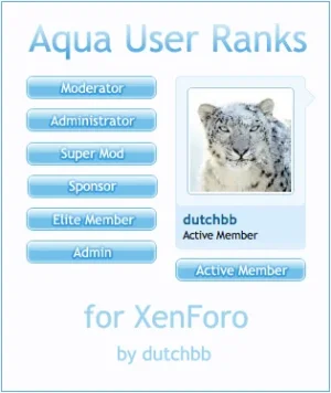 UserRanksAquaPreview.webp