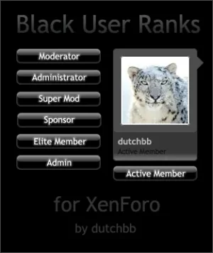 UserRanksBlackPreview.webp