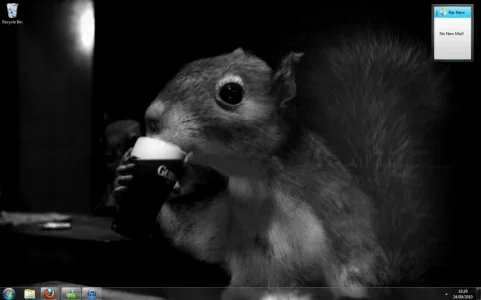 Squirrel Desktop.webp