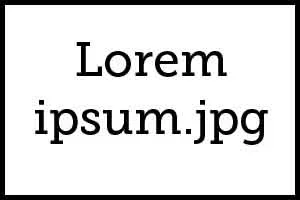 lorum-ipsum.webp