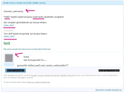 tst.webp