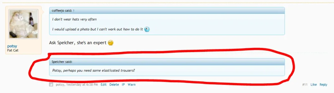 quote-in-sig.webp