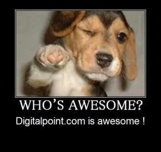 digitalpoint.awesome.webp